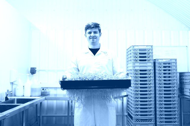 Illustration du métier ingénieur environnement / ingénieure environnement