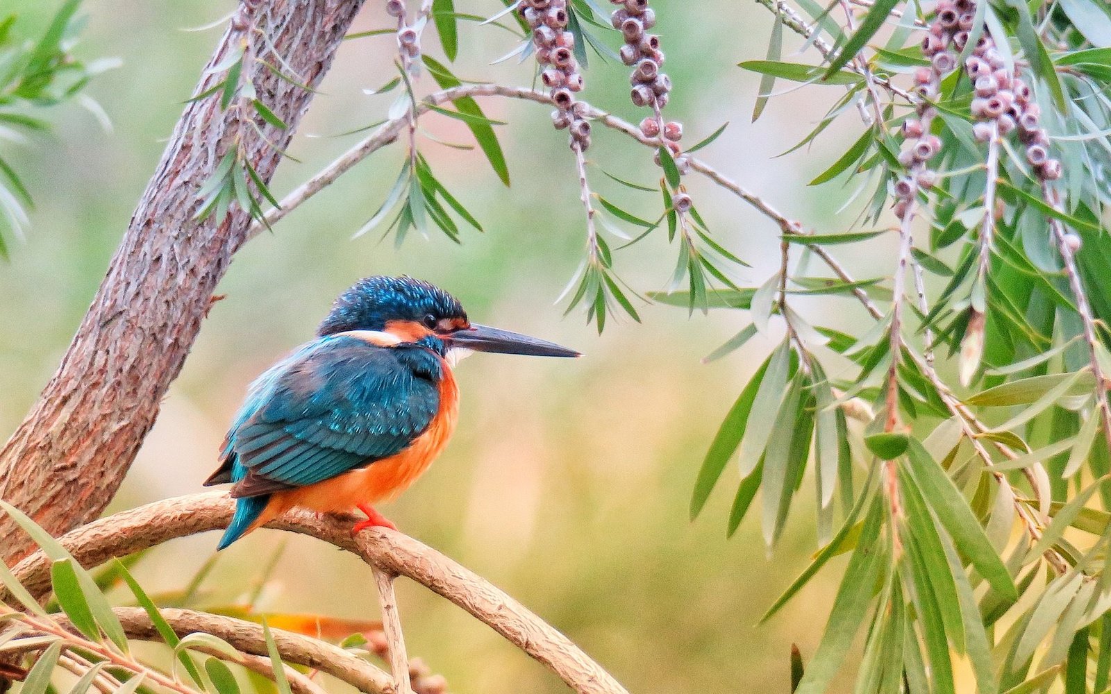 Faire des candidatures spontanées